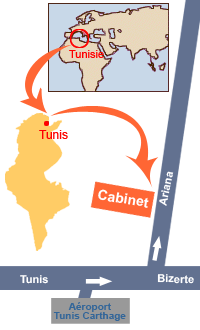 Cure-dents en bois naturel à Arianna, Tunis et Bizerte en Tunisie